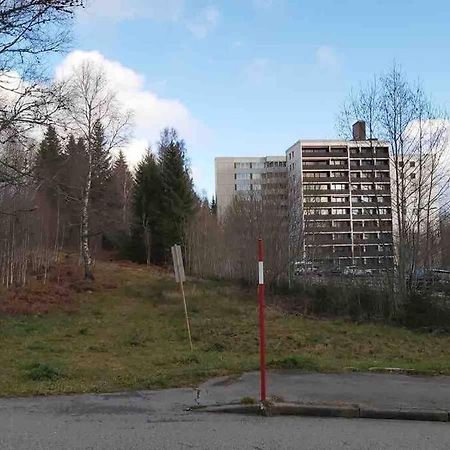 Ferienwohnung In Freudenstadt-Kniebis エクステリア 写真