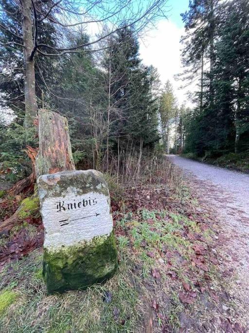 Ferienwohnung In Freudenstadt-Kniebis エクステリア 写真