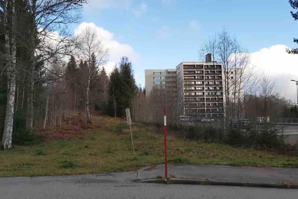 Ferienwohnung In Freudenstadt-Kniebis エクステリア 写真