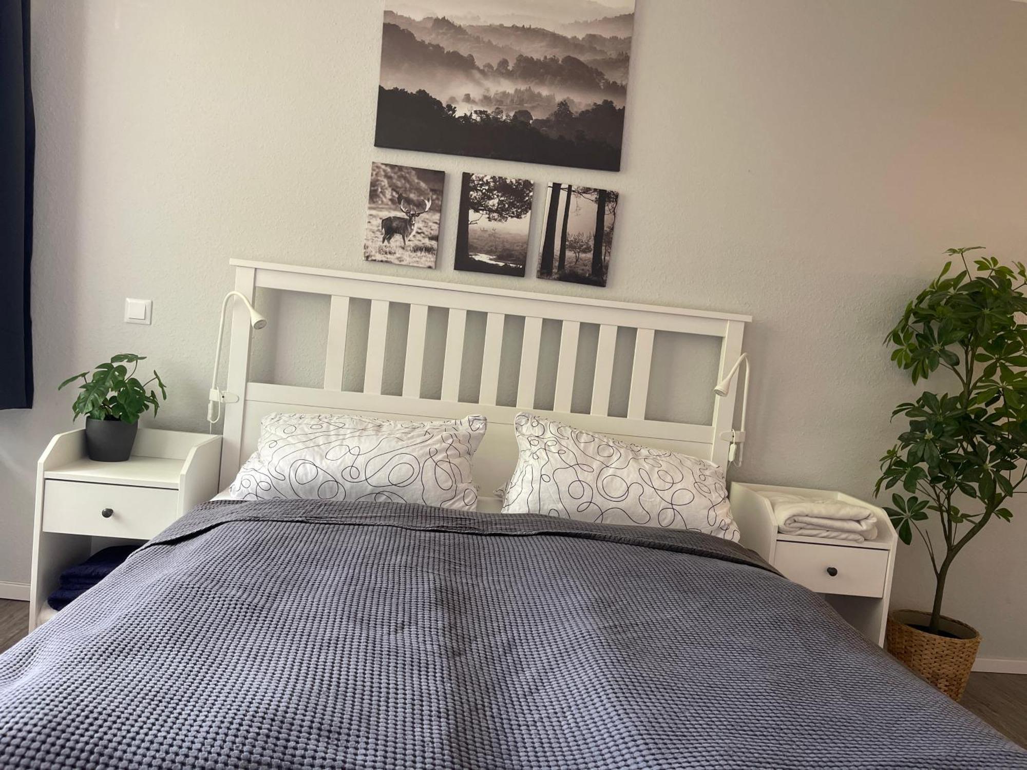 Ferienwohnung In Freudenstadt-Kniebis エクステリア 写真